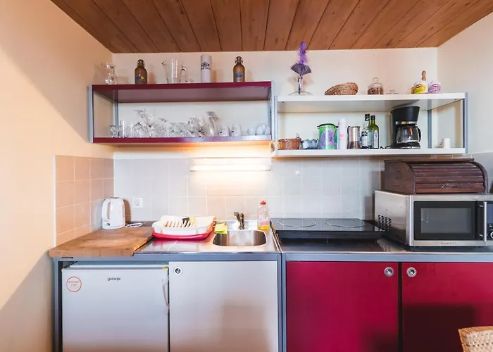 公寓 普瑞马里公寓 *